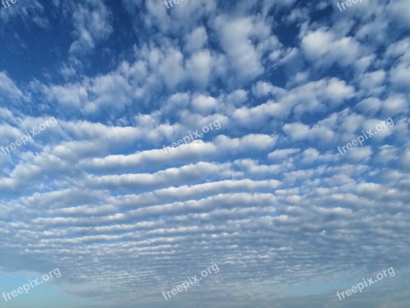 Beach Nature Skies Ocean Free Photos