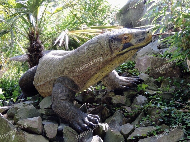 Monitor Lizard Plastic Animal Varanus