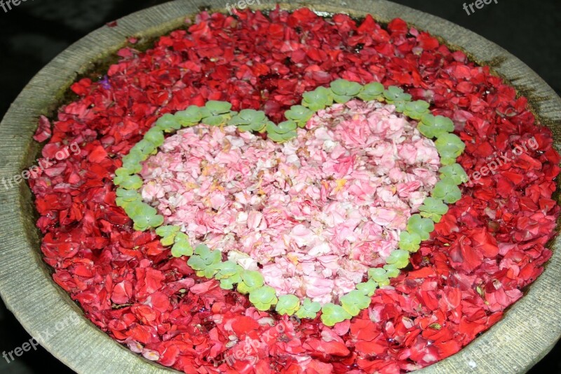 Heart Flowers Thailand Floral Love