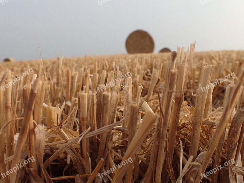 Straw Package Bale Of Straw Field Free Photos