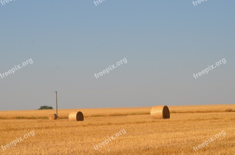 Nature Landscape Sunny Harvest Field