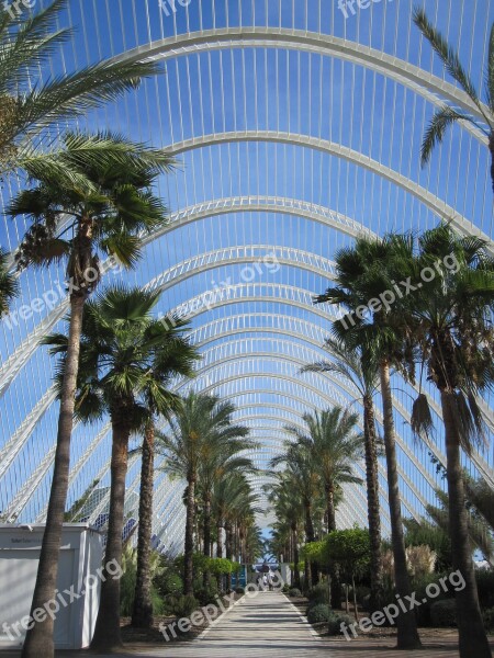 City Of Arts And Sciences Valence Valencia Spain L'umbracle