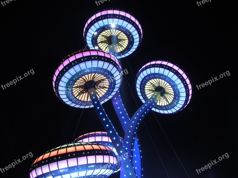 Amusement Park Night Lighting Canton Free Photos