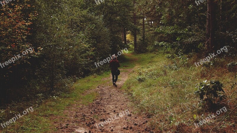 Walking People Walk Summer Nature