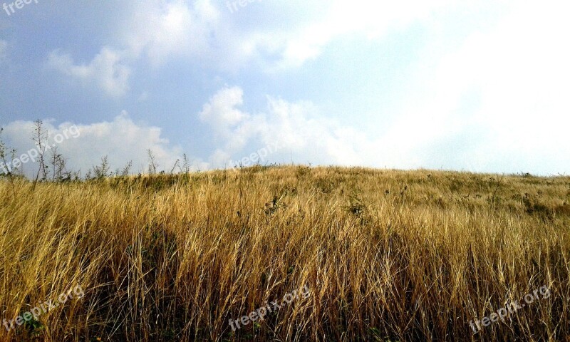 The Tares Cloud View The Sky Is Blue The Sky