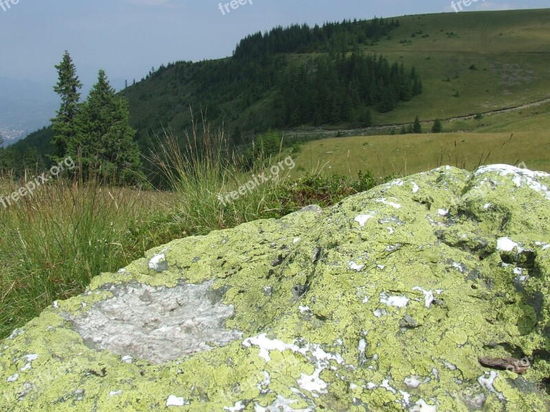 Cliff Zúzmó Nature Pine Cathy R Mountains