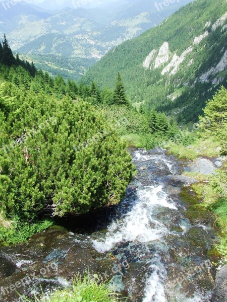 Fresh Water Waterfall Cliff Mountain Stream