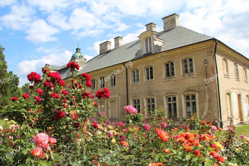 The Palace Flowers Nature Garden Flourishing