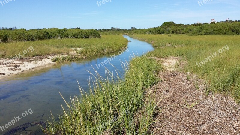 Salt Marsh Tidal Coastal Marsh Salt