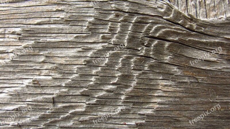 Old Wood Board Fibers Grain Bleached