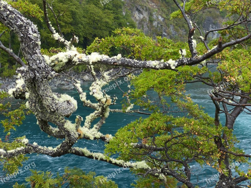 Chile South America Landscape Nature River