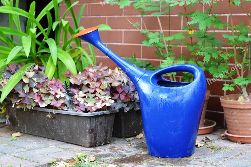 Watering Can Watered Watering Plants Water