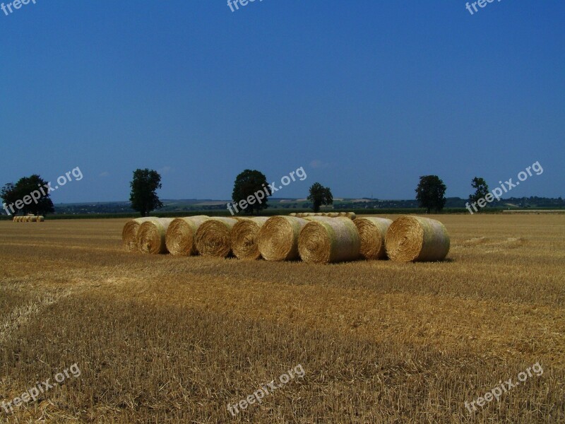 Straw Bales Harvested Wheat Field Summer Agriculture Free Photos