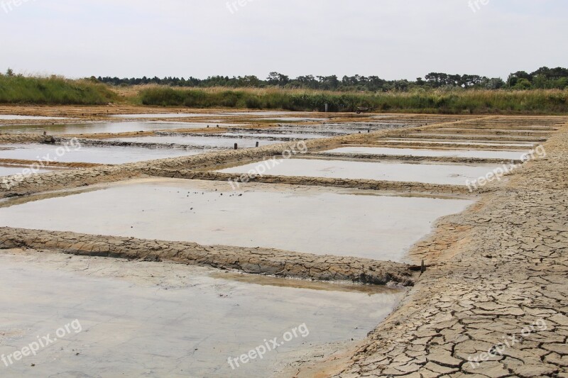 Ile D'oleron Island France Salt Free Photos