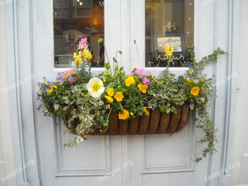 Window Box Flowers Window Box House