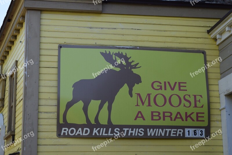 Moose Road Kill Sign Billboard Warning