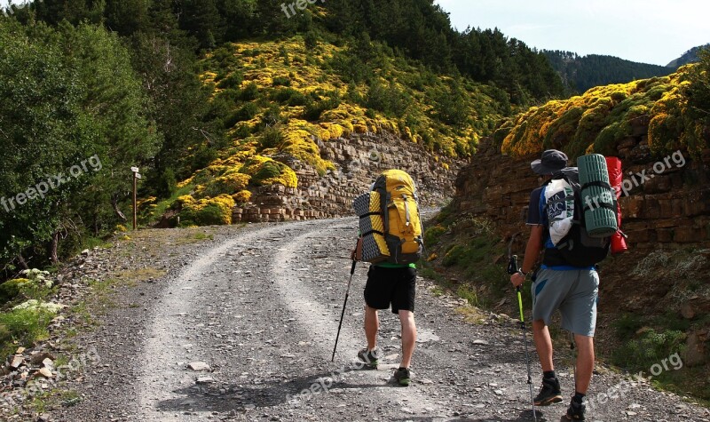 Hike Backpack Backpackers Walking Mountains