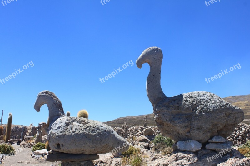 Birds Prehistory Stones Granite Walls