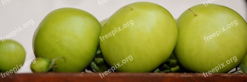 Tomatoes Green Mature Post Shelf Sun