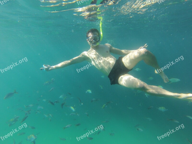 Snorkeling Mexico Baja California Fish Free Photos