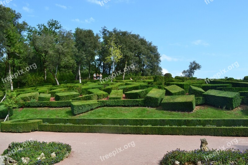 Boxwood Bush Cut Bushes Carved Maze Garden