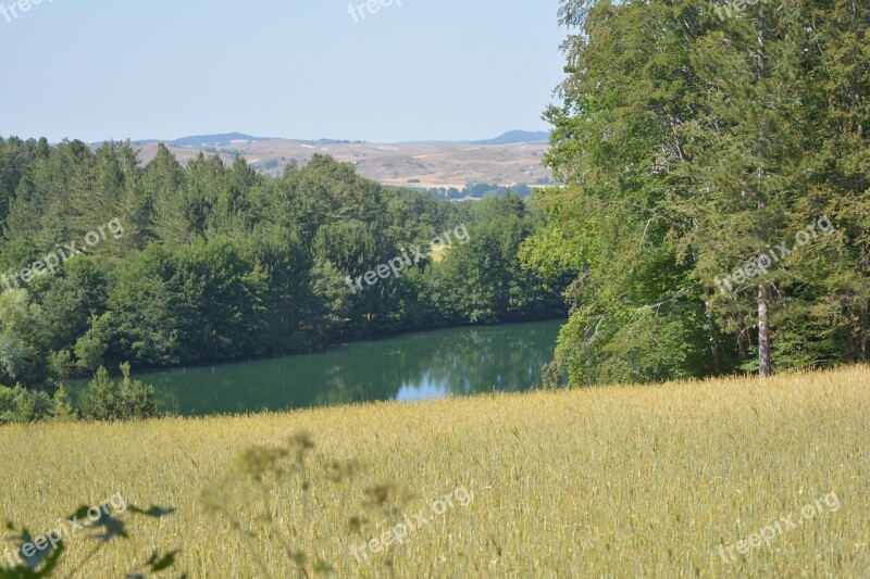 Calabria Sila Mountain Lake Trees