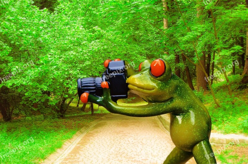 Frog Photographer Funny Fun Camera