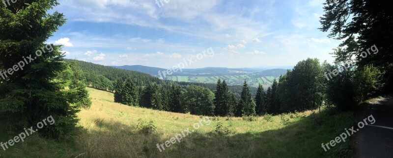 Nature Panorama Forest Trees View