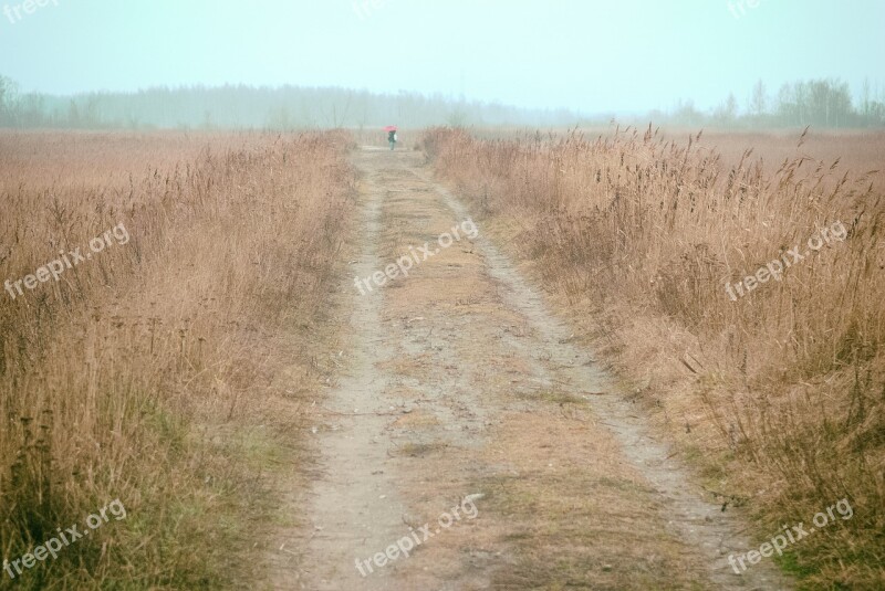 Path Horizon Endless Free Photos