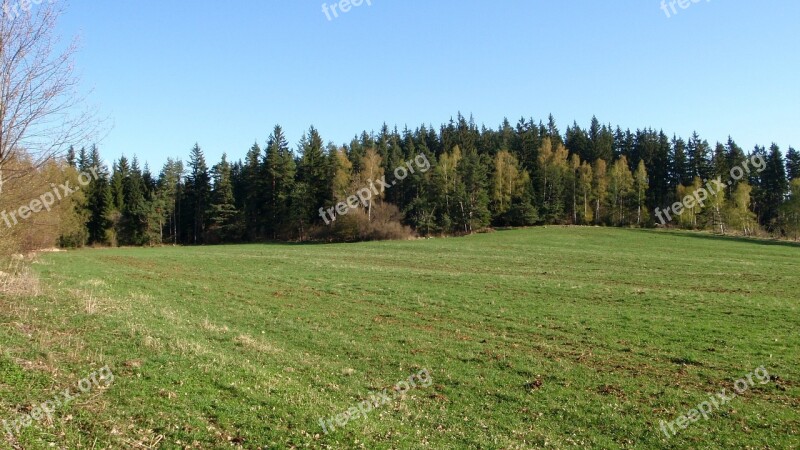 šumava Field Trees Heaven Summer