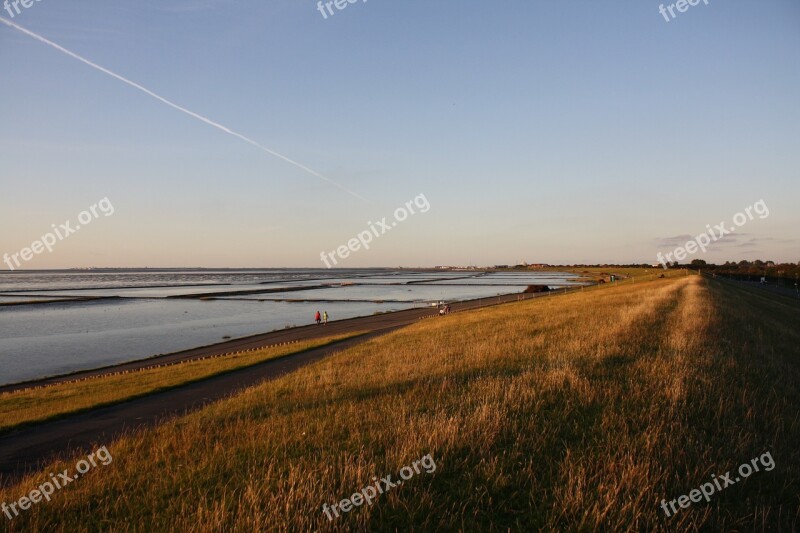 Beach Dunes Sea Free Photos