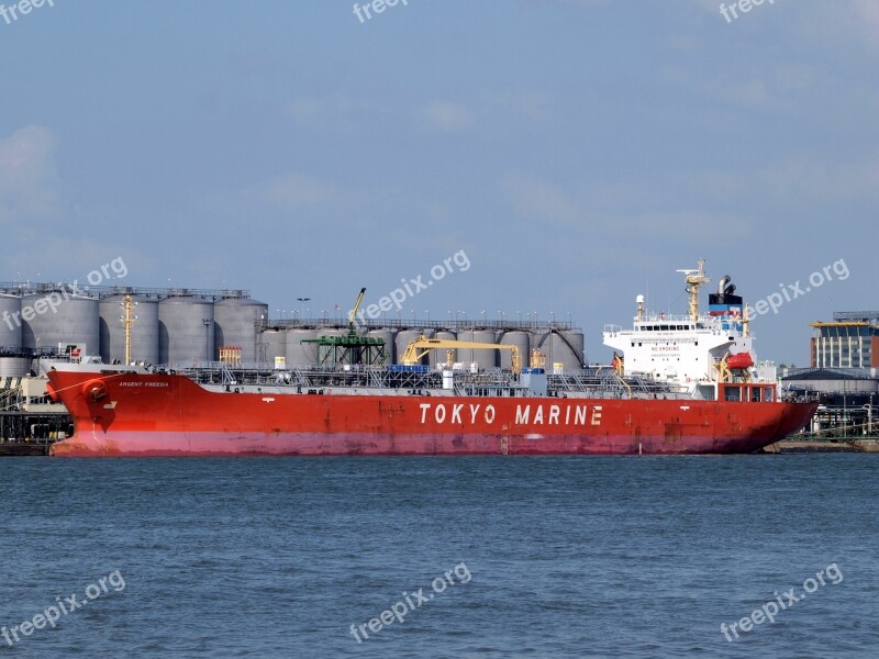 Argent Freesia Ship Vessel Port Rotterdam