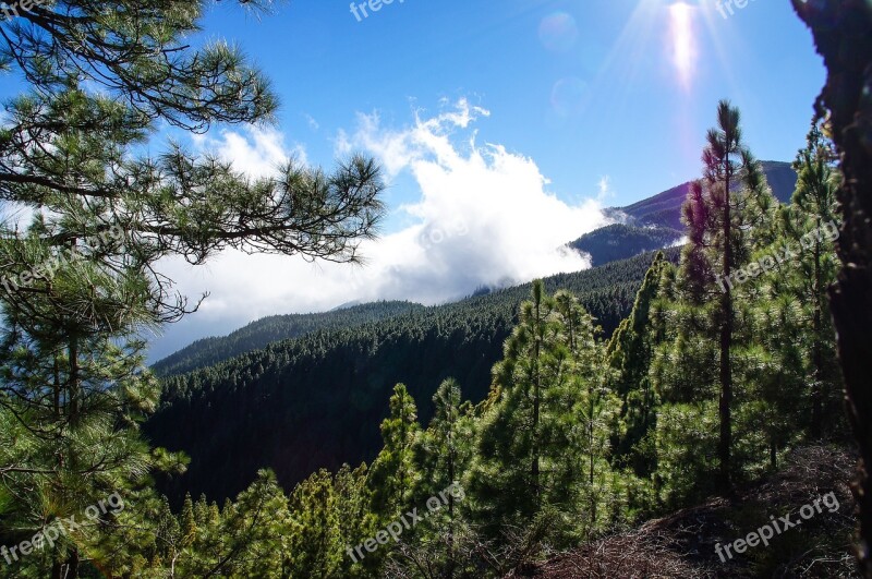 Spain Canary Islands Tenerife Nature Teide National Park