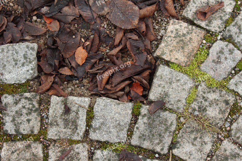 Setts Stone Street Autumn Park