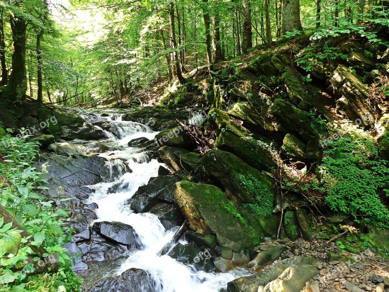 Waterfall Brook Rock Water Nature