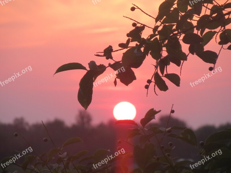 Sunset Sun Setting Sun Colorful Sunset Brand