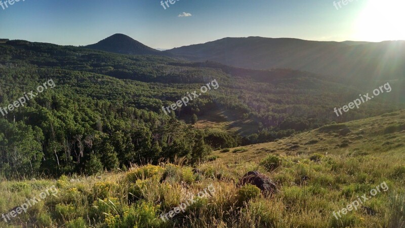 Utah Brianhead Mountain Forest Meadow