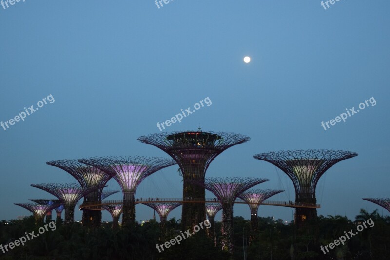 Garden Of The Bay Singapore Icon Landmark Free Photos