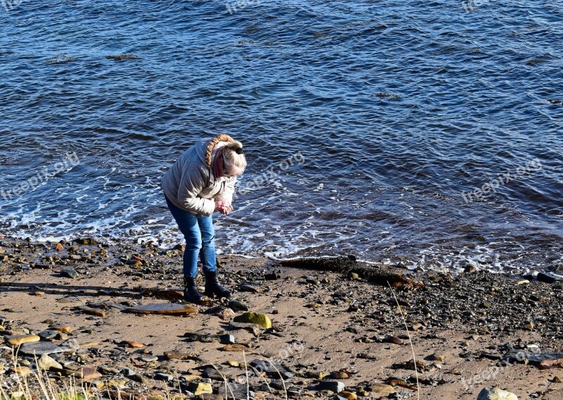 Beachcomber Woman Beach Sand Rocks