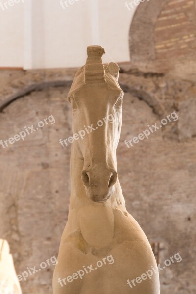 Horse Statue Rome Italy Marble