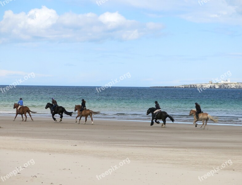 Horse Riding Beach Northumberland Uk