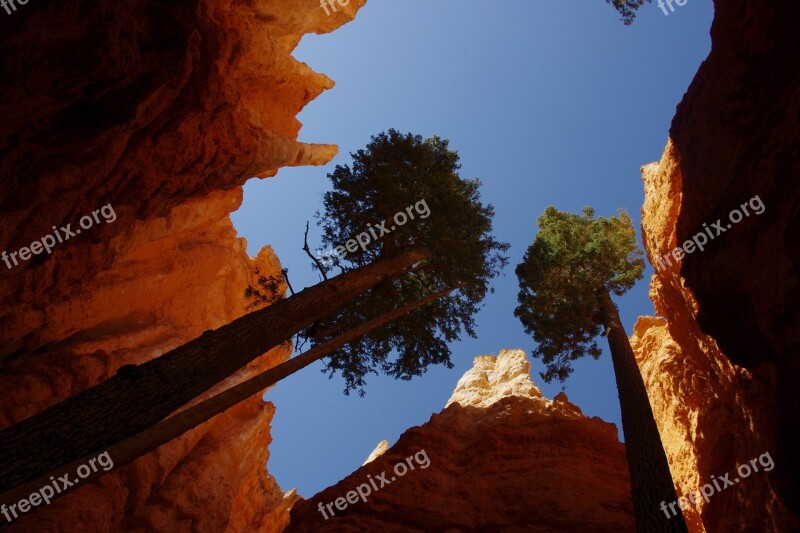 Bryce Canyon Tree Rock Formation