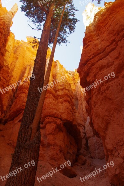 Bryce Canyon Tree Rock Formation