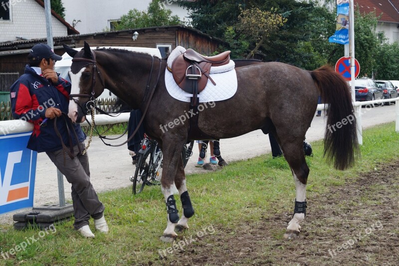 Horse Ride Rappschimmel Show Jumping Tournament