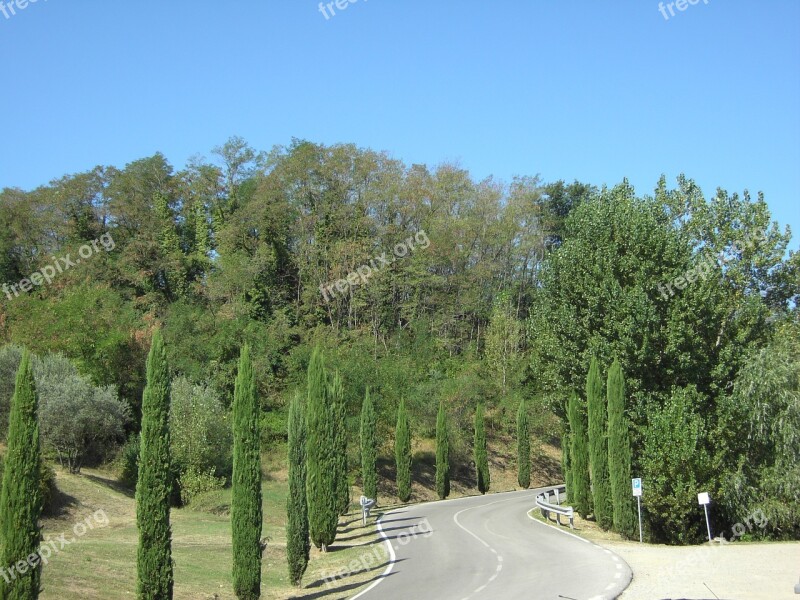 Tuscany Italy Cypress Free Photos