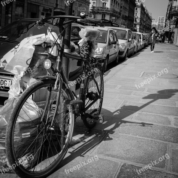 Paris Street Bicycle Light Sun