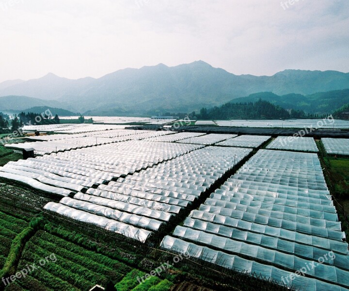 Greenhouse Agriculture A Large Area Free Photos