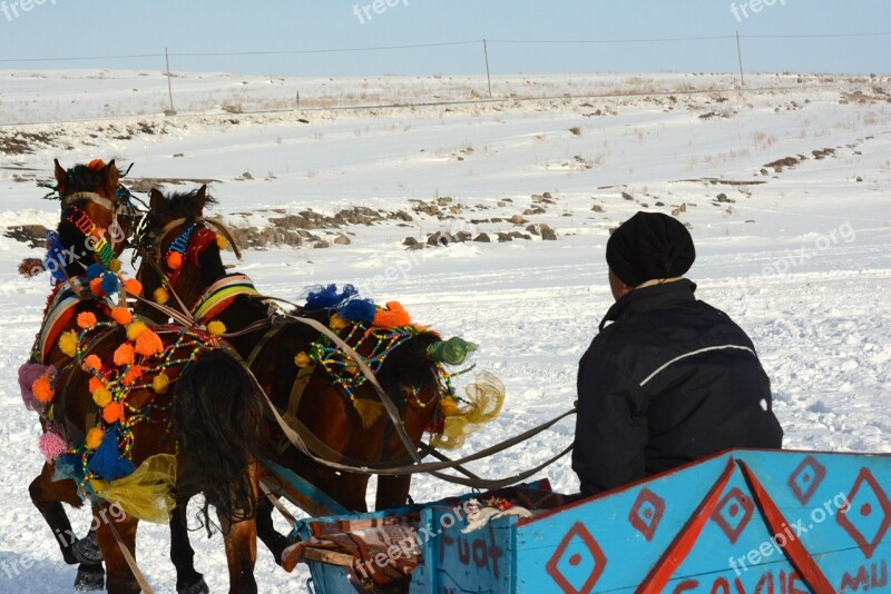 Lake Ice The Horses Are Horse-drawn Carriage Kars