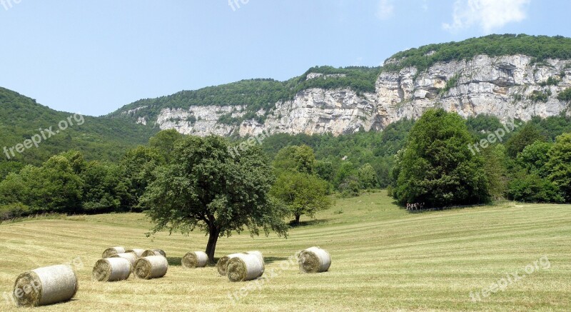 Allèves Haute-savoie France Field Hay