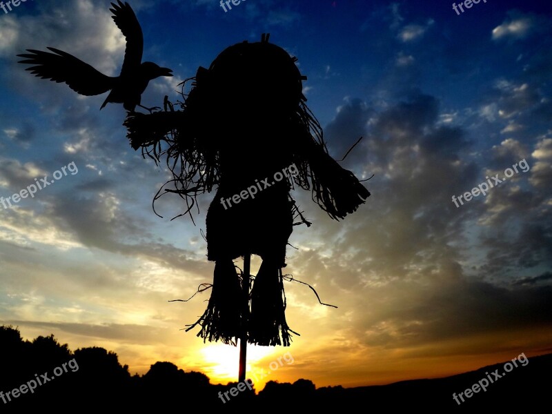 Scarecrow East Birds Sun Cloud